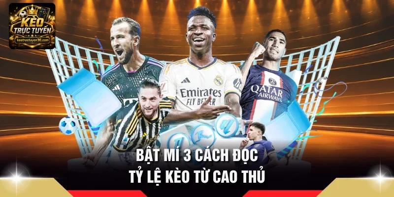 Bật mí 3 cách đọc tỷ lệ kèo từ cao thủ