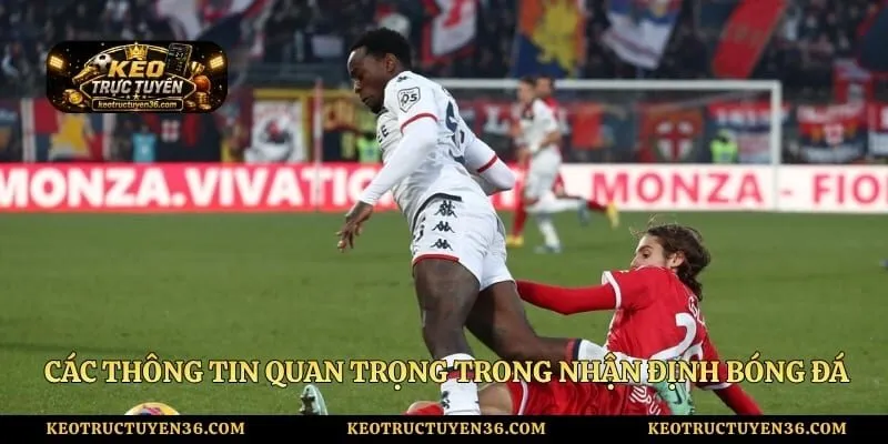 Các thông tin quan trọng trong nhận định bóng đá hôm nay
