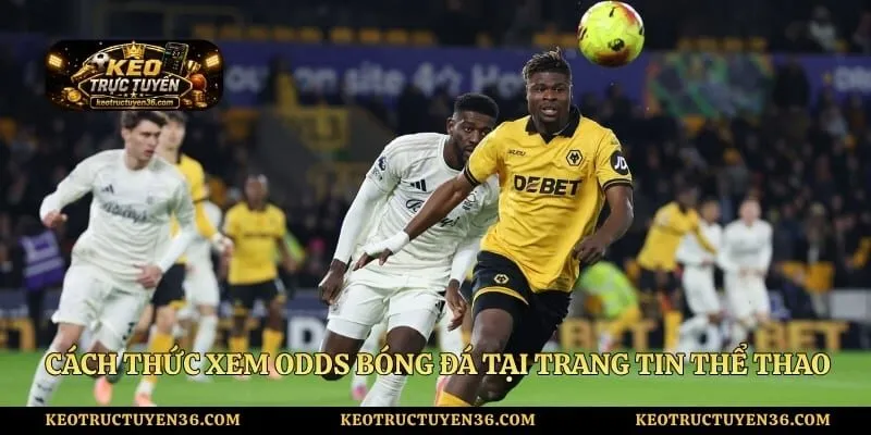 Cách thức xem odds bóng đá tại trang tin thể thao