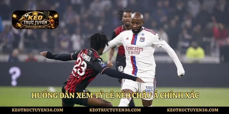 Kèo Bóng Đá Châu Á - Hướng Dẫn Cách Xem Thông Tin Chi Tiết 3 Hướng dẫn xem tỷ lệ kèo châu Á chính xác