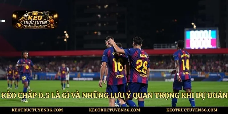 Kèo Chấp 0.5 Là Gì Và Những Lưu Ý Quan Trọng Khi Dự Đoán 1 Kèo Chấp 0.5 Là Gì Và Những Lưu Ý Quan Trọng Khi Dự Đoán