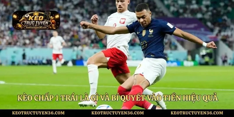 Kèo Chấp 1 Trái Là Gì Và Bí Quyết Vào Tiền Hiệu Quả 6 Kèo Chấp 1 Trái Là Gì Và Bí Quyết Vào Tiền Hiệu Quả