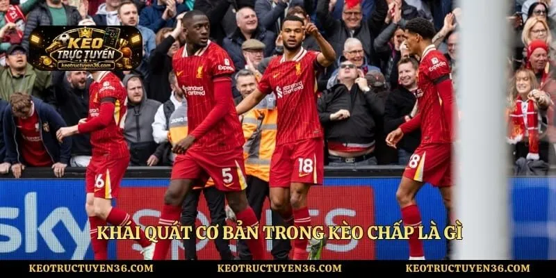 Kèo Chấp Là Gì Và Cách Đọc Các Cược Hiệu Quả, Dễ Hiểu 2 Khái quát cơ bản trong kèo chấp là gì