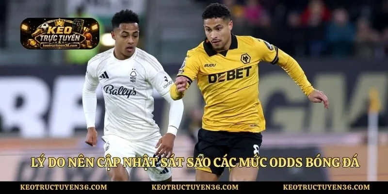 Lý do nên cập nhật sát sao các mức odds bóng đá