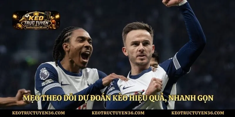 Mẹo theo dõi dự đoán kèo hiệu quả, nhanh gọn