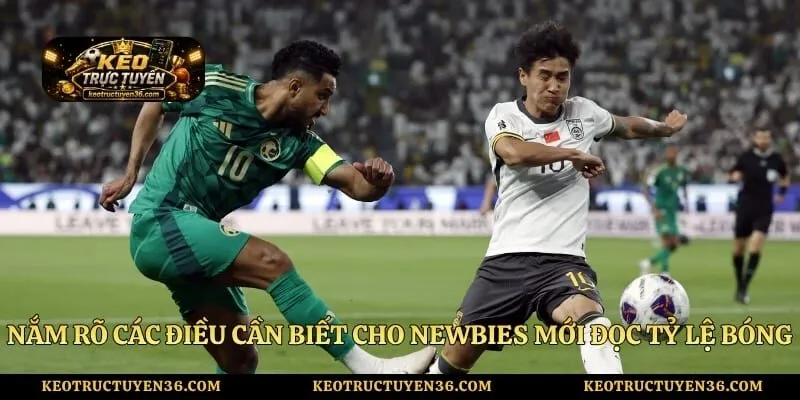 Nắm rõ các điều cần biết cho newbies mới đọc tỷ lệ bóng đá