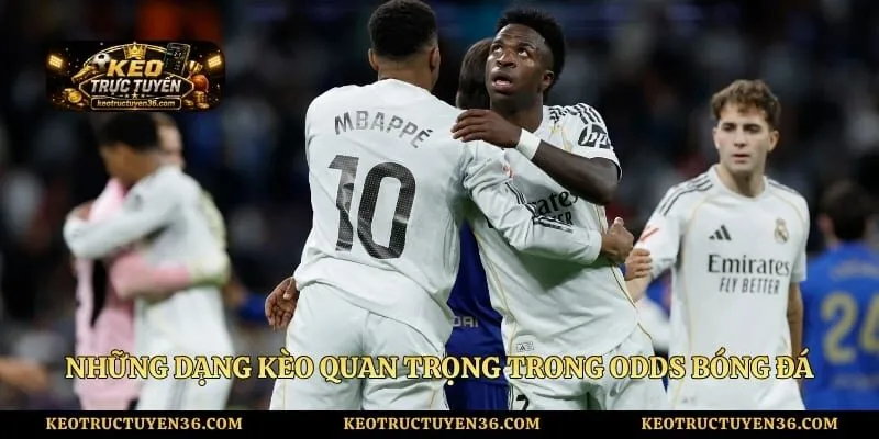 Những dạng kèo quan trọng trong odds bóng đá ở giải đấu