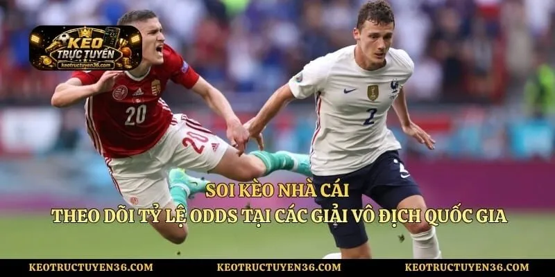 Soi Kèo Nhà Cái - Theo Dõi Tỷ Lệ Odds Tại Các Giải Vô Địch Quốc Gia 3 Soi Kèo Nhà Cái - Theo Dõi Tỷ Lệ Odds Tại Các Giải Vô Địch Quốc Gia