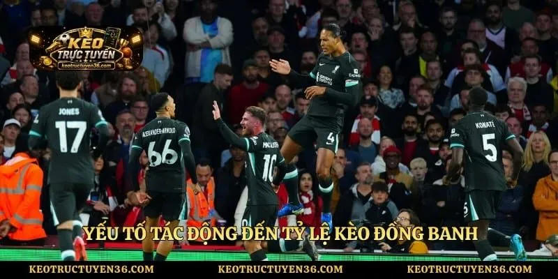 Kèo Đồng Banh Là Gì? Cách Hiểu Kèo Chấp Đồng Banh Dễ Nhất 3 Yếu tố tác động đến tỷ lệ kèo đồng banh